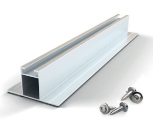 MS+ Portrait (Set s vijcima)