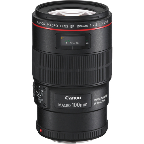Canon EF 100 mm f/2.8 L IS USM Macro